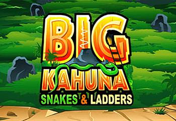 Big Kahuna Snakes and Ladders